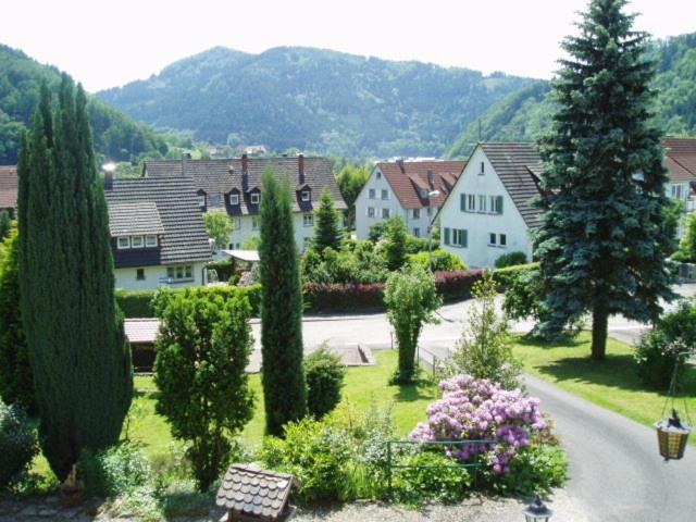 Schwarzwaldhotel / Wolfach Bilik gambar
